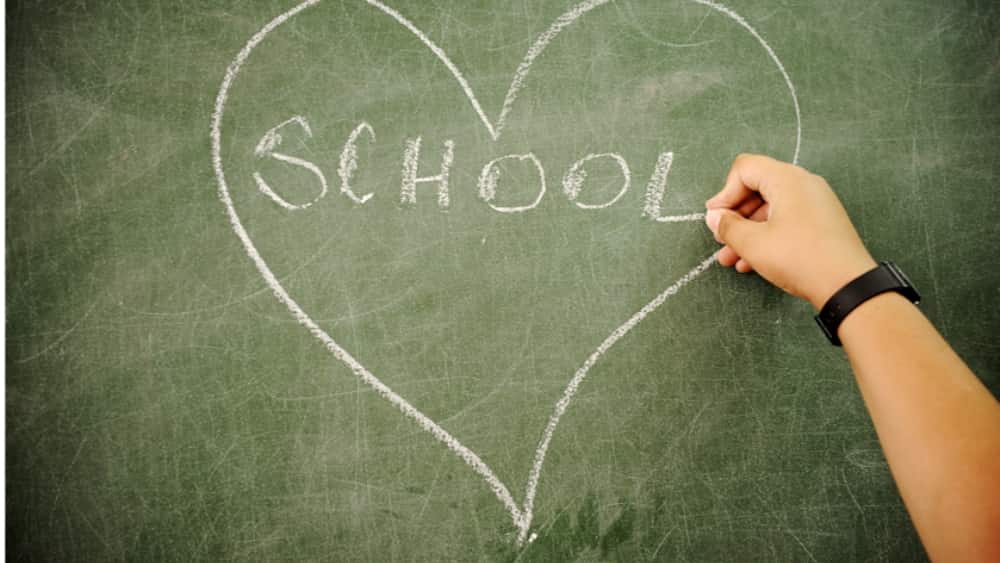 We love RBT training at Jigsaw School